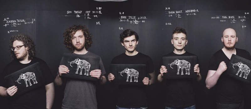 Elaphant Sessions signs mini
