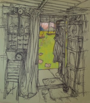 View From The Garden Shed by Stuart Moir