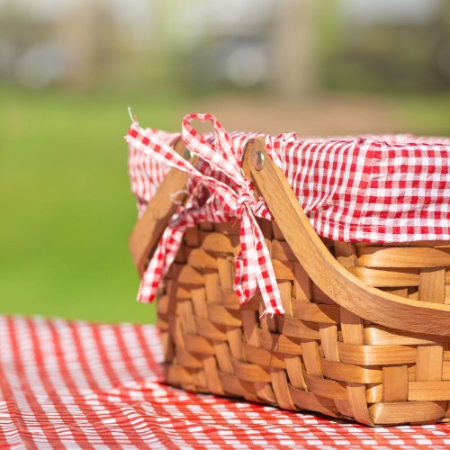 Relaxed Family Picnic Concert